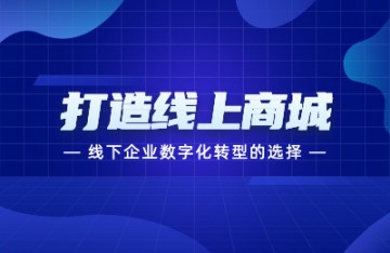 线下企业数字化转型的最优选择top1